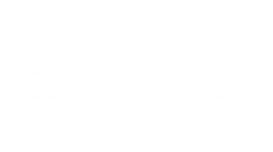 Southern Cross Intellectual Property
